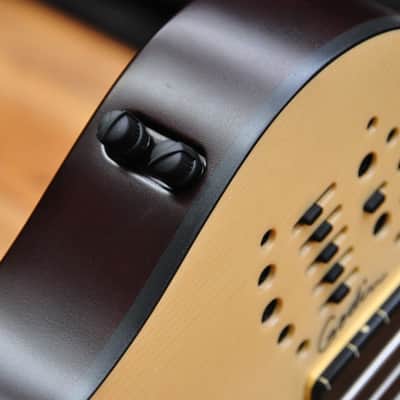 Godin A5 Ultra  Fretless A/E Natural image 22
