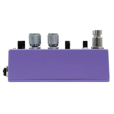 Empress Bass ParaEQ 'Free International Shipping' image 6
