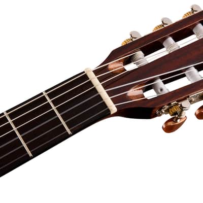 Fender CN-140SCE Nylon Thinline, Walnut Fingerboard, Natural w/Case image 7