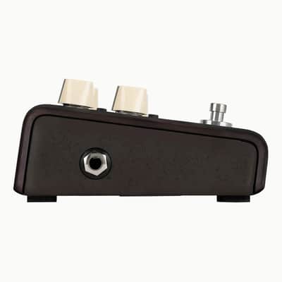 Lr Baggs Align Series Delay Pedal image 5