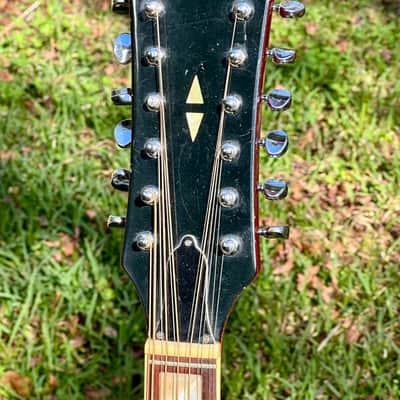 1969 Ibanez Jamboree 12 String, MIJ image 2