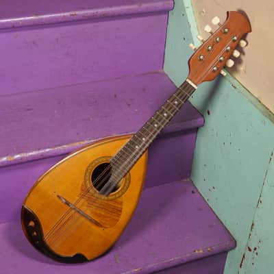 1970s Suzuki Spruce/Maple Bowlback Mandolin (VIDEO! Fresh Work, Ready) image 1