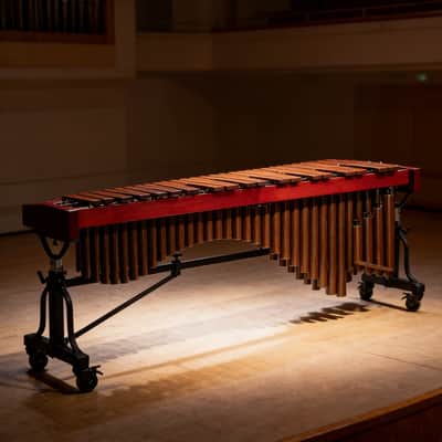 61 Key Marimba Rosewood Adjustable Height Marimba Aluminum Alloy Resonance Tube Marimba image 6