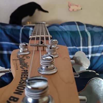 Squier Standard Precision Bass Special V 2001 - Sherwood Green image 8