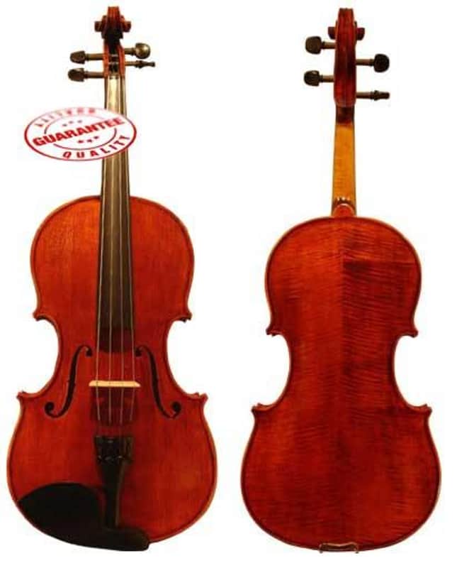 D'Luca PDZ02 15-Inch Orchestral Series Viola Outfit image 1