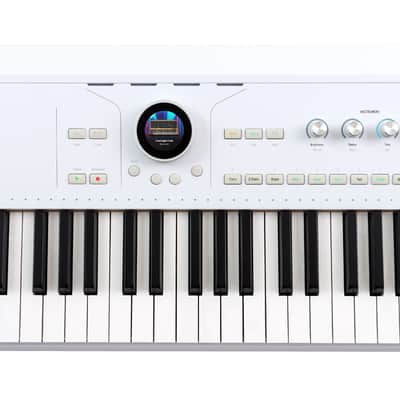 Arturia ASTROLAB 61 Key Stage Keyboard w/MIDI DIN I/O/USB+Software+Sustain Pedal image 2