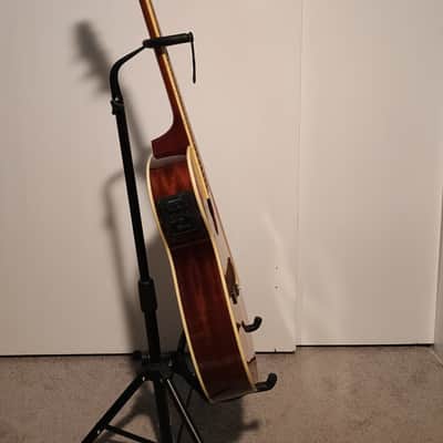 Ibanez AEG20II-VV Acoustic/Electric with TKL hard case image 5