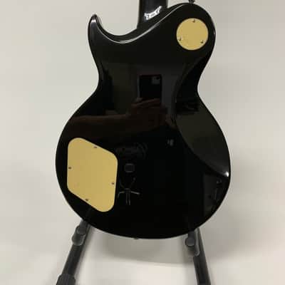 Aria Pro II PE 350 2025 - Aged Black image 11