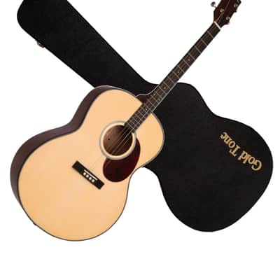 GOLD TONE TG-10 4-string Tenor GUITAR new w/ Haed Case - Spruce Top image 1