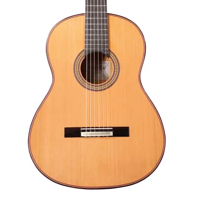 Manuel Adalid Homenaje - Cedar Double top/Solid Ziricoté back/sides - Handmade in Spain - 2025 image 3