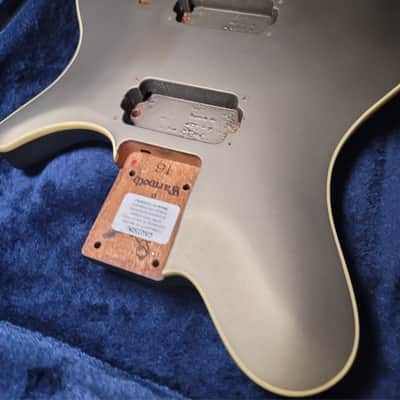 Warmoth Velocity Body, USA Custom, Silver, Binding image 11