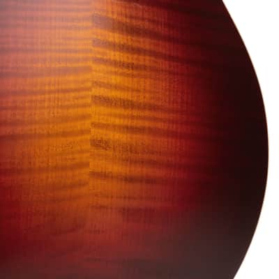Gold Tone GM-80: F-Style Mandolin with Case image 9