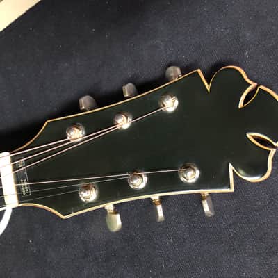 Très rare guitare Bozo Podunavac Bell Western B-80 de 1975 dans son étui d'origine! VIDEO image 17