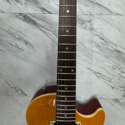 Epiphone Slash AFD Les Paul Special II Outfit - Appetite Amber image 4