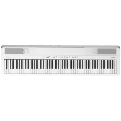 FP-40 Blanc Roland image 3