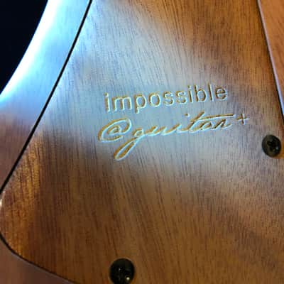 Impossible@guitar™ בְּצַלְאֵל Bezalel JCustom Steinberger Rtrem + GhostFire Bullet 3.0 padded Super Thick GigBag - Safe Shipping image 4