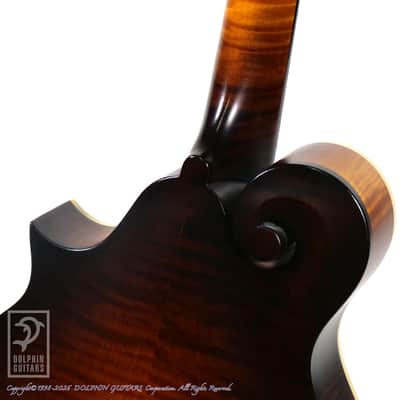 COLLINGS MF-O  2009[Pre-Owned] image 14