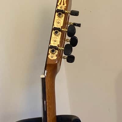 New World Guitar Co. Estudio Series 650mmC 2012 Natural image 9