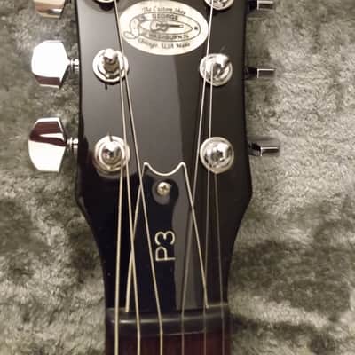 Washburn P-3 1998 USA Custom Shop image 10