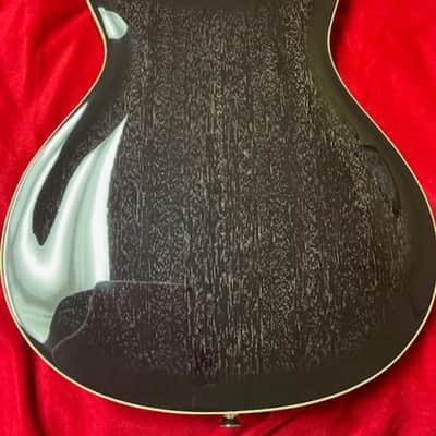 PRS Semi Hollow 2024 - Dog Hair image 2