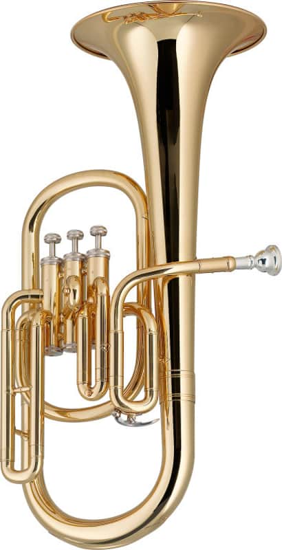 Stagg WS-AH235 Eb Alto Horn - Beginner-friendly Brass Instrument With ABS Case 2 Year Warranty image 1