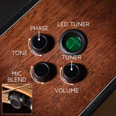 Cort All Solid Woods Gold Series A6 Auditorium w/ Fishman Flex Blend Electronics, Case image 19