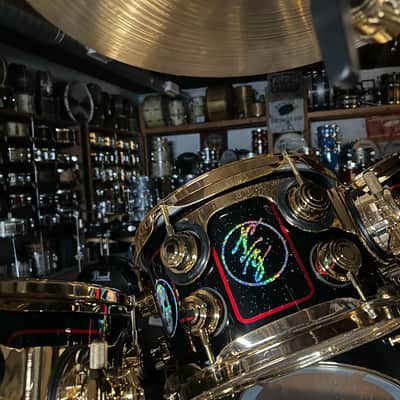 DW Collector's Neil Peart R30 Custom Kit - Built for Deen Castronovo (Journey) 2006 image 19