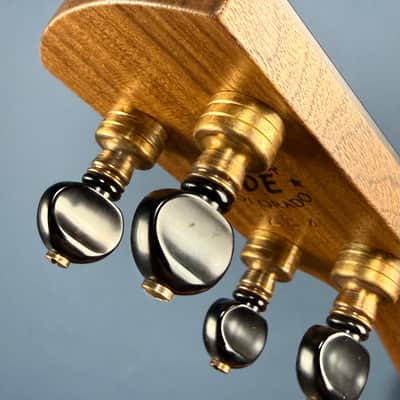 Ode Fretless Walnut Magician Nylon 5-String Openback Banjo 12" image 19