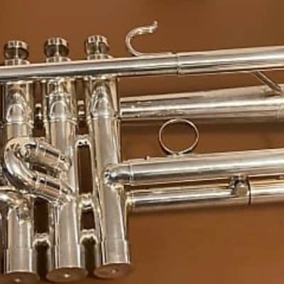 BAC series 2010  - Luxe silver plated finish image 1