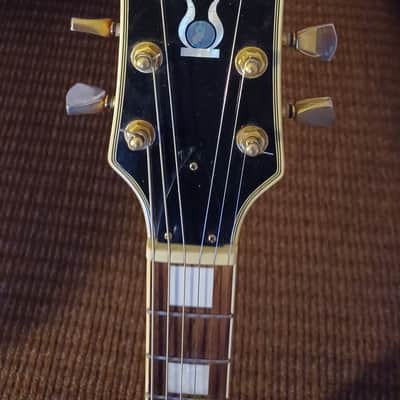 Jay Turser JT-200 Sunburst image 3