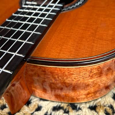 Cordoba C9 Parlor Nylon String Acoustic Guitar Natural image 11