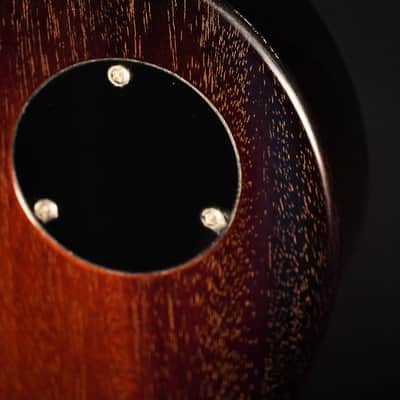 Collings 360 Solidbody Custom Mini Humbucker 2014 - Tobacco Burst Doghair image 11