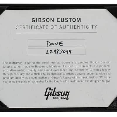 Gibson Dove M2M Sondermodell - Iguana Burst Custom Shop image 8