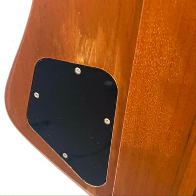 Gibson Firebird V Reissue 1990 - Sunburst, Mint image 13