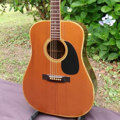 Takamine Elite TW60  Brazilian Rosewood '70 Natural+Hard Case image 9