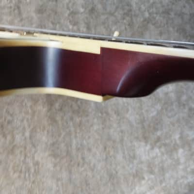 R. M. Olsen Les Paul Semi-Hollow Early 2000s - Satin tobacco sunburst Trey Anastasio ? 6.4 lbs image 15