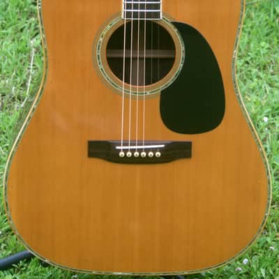 1976 Takamine Elite TW100 Jacaranda Body Natural+Vintage Hard Case image 4