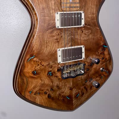 Dries Guitars- Stella 2024 image 2