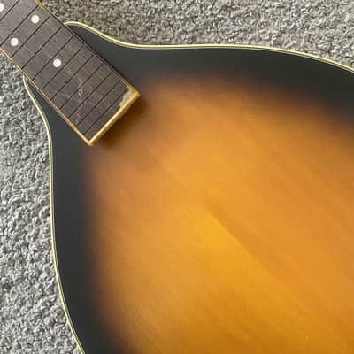 Honey Burst 8 String Mandolin Project, Spruce Top, Mahogany Body, Rosewood Fingerboard image 20