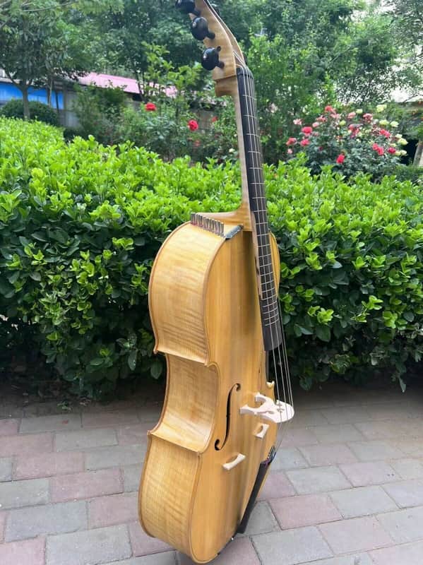 Standard full-scale 6 strings Cello-Arpeggione with 24 sympathetic strings#15388 image 1