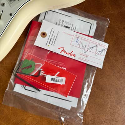 Fender Albert Hammond Jr Stratocaster 2022 image 10