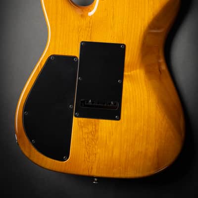 Tom Anderson Top T Transparent Amber (071825A) image 8