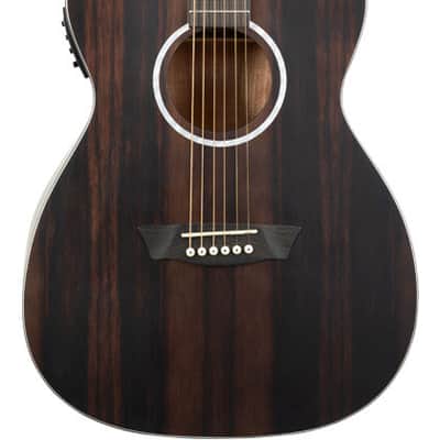 Washburn DFEFE-A Deep Forest Folk Acoustic/Electric Guitar - Striped Ebony (DFEFE-A-U) image 2