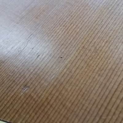 Seagull By Godin Artist Series Mahogany Folk Natural image 14