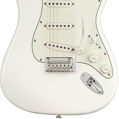 Fender Player Stratocaster, Pau Ferro - Polar White image 1