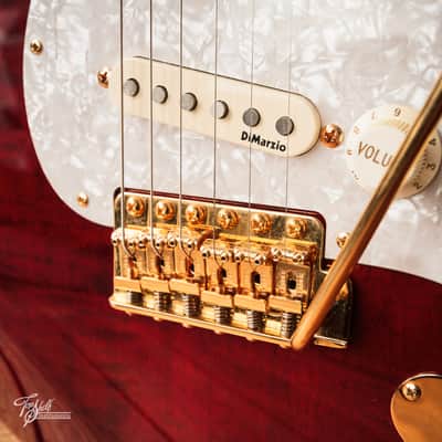 Fender Japan Richie Kotzen Stratocaster STR-RK Transparent Red Burst 2011 image 15