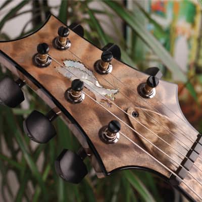 PRS RARE 2016 Private Stock DGT in Frostbite Fade w/Quilt Maple Top, Stained Quilt Maple Fretboard w/Ebony Binding, Flame Maple Neck, Swamp Ash Back with Matching Backplates, Black PRS Tremolo + Phase III Locking Tuners & MOP w/Paua Outline Bird Inlays image 13