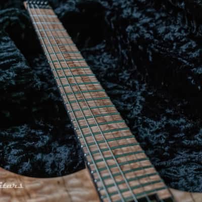 Reichardt Guitars "The Horsemen" 6-String Multiscale image 9