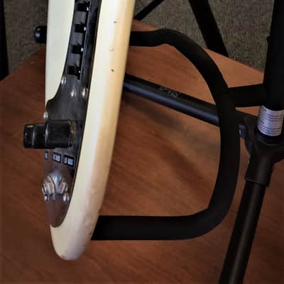 Danelectro Wasp 1965? image 10