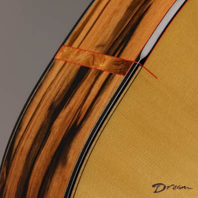 2019 Taran DS5, Macassar Ebony/Master Grade Swiss Moon Spruce image 18